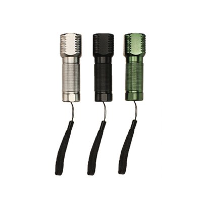 Torchlight_PFK7318