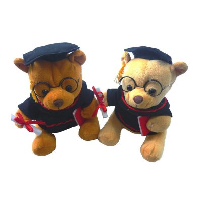 BEAR GRADUATION_PLF132