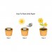 Seed Paper