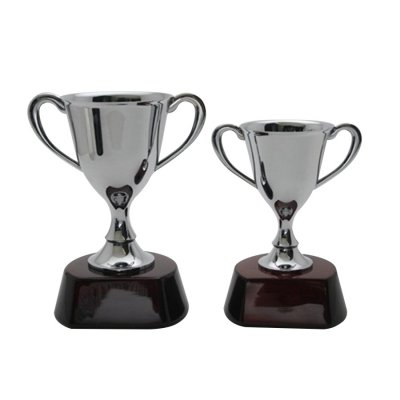 Trophy Metallic Silver Chrome Cup
