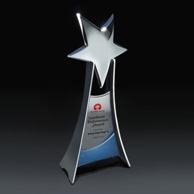 SHINY METALLIC STAR